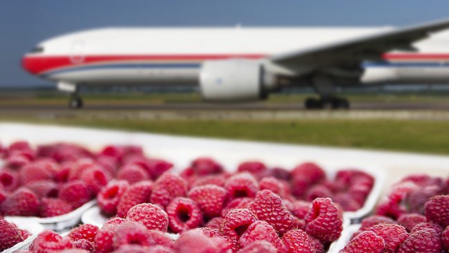 Нетрайните продукти оказват все по-голям натиск на пазара на въздушни товари. Нетрайните продукти оказват все по-голям натиск на пазара на въздушни товари.